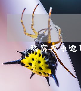 玖富万卡逾期了能办理房贷吗 玖富万卡逾期了能办理房贷吗