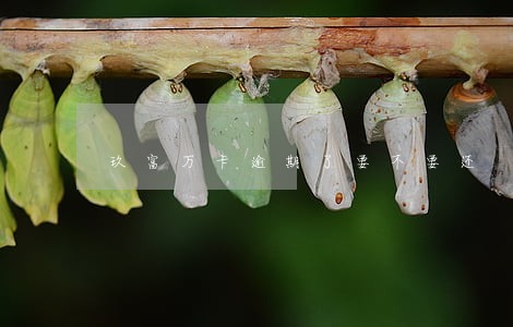 玖富万卡逾期了要不要还