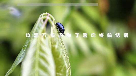 玖富万卡逾期了要你提前结清 玖富万卡逾期了要你提前结清