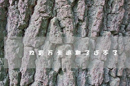 玖富万卡逾期了还不了 玖富万卡逾期了还不了
