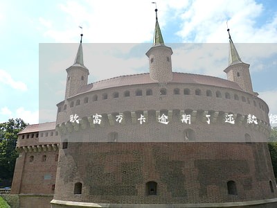 玖富万卡逾期了还款能不能再使用