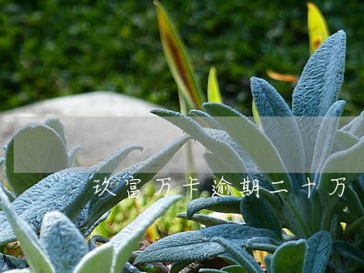 玖富万卡逾期二十万 玖富万卡逾期二十万