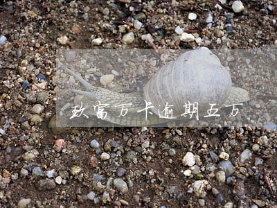 玖富万卡逾期五万 玖富万卡逾期五万