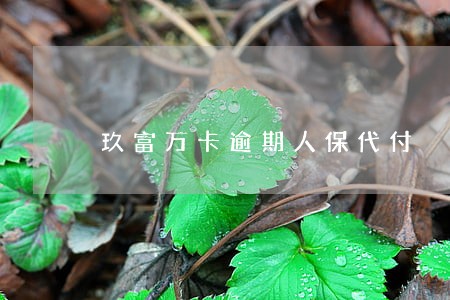 玖富万卡逾期人保代付 玖富万卡逾期人保代付