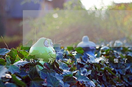 玖富万卡逾期人保代偿了上征信吗 玖富万卡逾期人保代偿了上征信吗