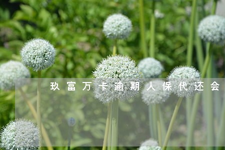玖富万卡逾期人保代还会怎样 玖富万卡逾期人保代还会怎样