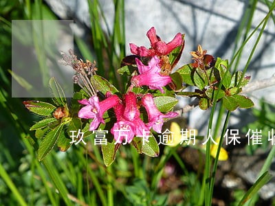 玖富万卡逾期人保催收