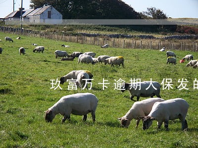 玖富万卡逾期人保发的律师函