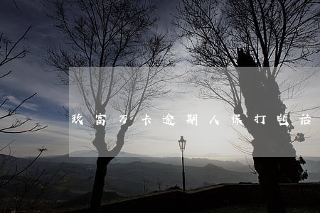 玖富万卡逾期人保打电话