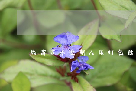 玖富万卡逾期人保打电话没有工号