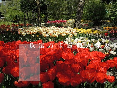 玖富万卡逾期人保财险代偿 玖富万卡逾期人保财险代偿