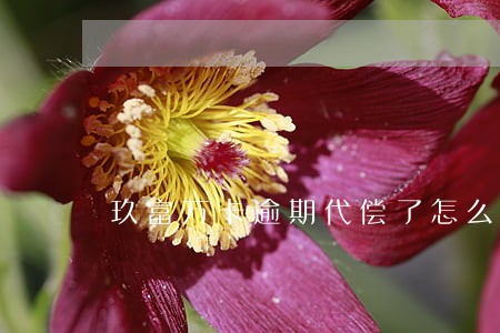 玖富万卡逾期代偿了怎么办 玖富万卡逾期代偿了怎么办