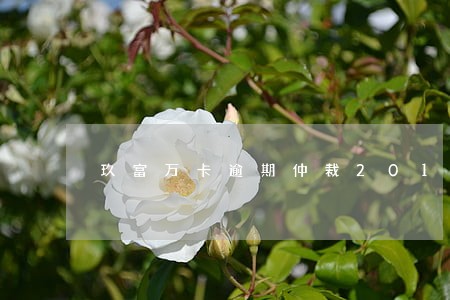 玖富万卡逾期仲裁2019 玖富万卡逾期仲裁2019