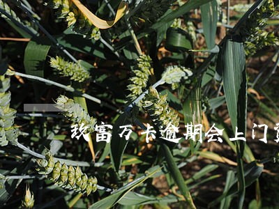 玖富万卡逾期会上门资产评估 玖富万卡逾期会上门资产评估
