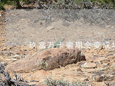 玖富万卡逾期会变成坏账吗 玖富万卡逾期会变成坏账吗