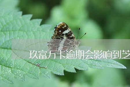 玖富万卡逾期会影响到芝麻信用吗 玖富万卡逾期会影响到芝麻信用吗