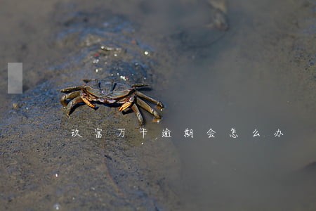 玖富万卡逾期会怎么办