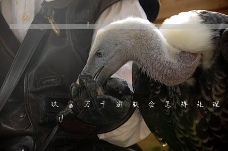玖富万卡逾期会怎样处理 玖富万卡逾期会怎样处理