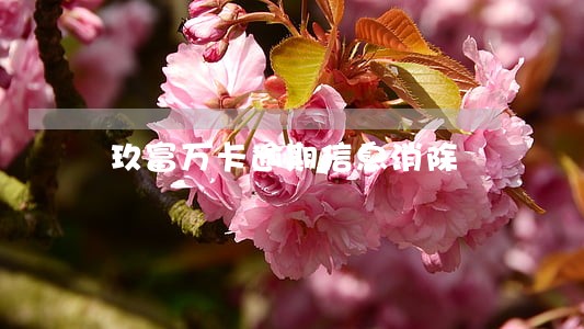 玖富万卡逾期信息消除 玖富万卡逾期信息消除