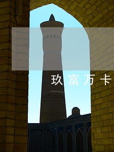 玖富万卡逾期催债电话