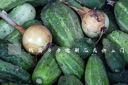 玖富万卡逾期几天会上门 玖富万卡逾期几天会上门