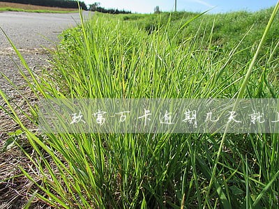 玖富万卡逾期几天就上报征信了 玖富万卡逾期几天就上报征信了