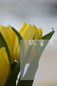 玖富万卡逾期几天影响征信