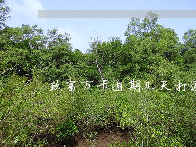 玖富万卡逾期几天打通讯录 玖富万卡逾期几天打通讯录