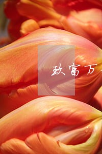 玖富万卡逾期几年了还发仲裁通知 玖富万卡逾期几年了还发仲裁通知