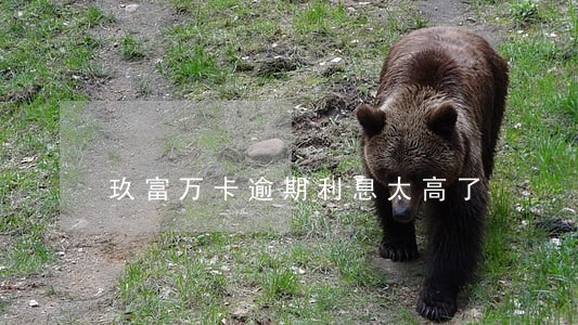 玖富万卡逾期利息太高了 玖富万卡逾期利息太高了