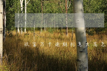 玖富万卡逾期利息太高怎么办 玖富万卡逾期利息太高怎么办