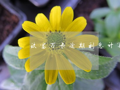 玖富万卡逾期利息计算 玖富万卡逾期利息计算