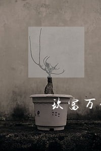 玖富万卡逾期利滚利 玖富万卡逾期利滚利