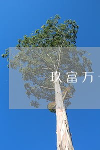 玖富万卡逾期利率是多少 玖富万卡逾期利率是多少
