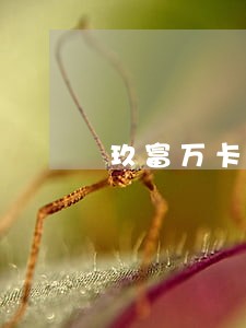 玖富万卡逾期半个月会不会有事 玖富万卡逾期半个月会不会有事