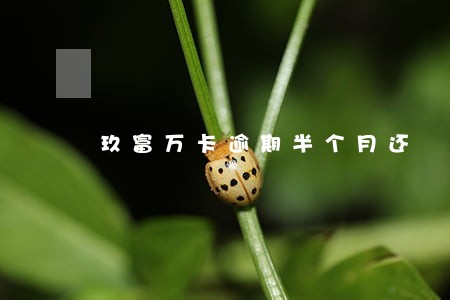 玖富万卡逾期半个月还