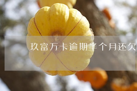 玖富万卡逾期半个月还欠5千元 玖富万卡逾期半个月还欠5千元