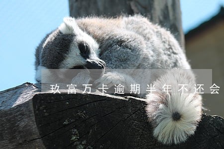 玖富万卡逾期半年不还会坐牢吗 玖富万卡逾期半年不还会坐牢吗