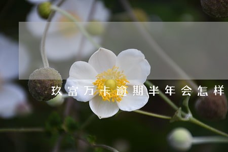 玖富万卡逾期半年会怎样 玖富万卡逾期半年会怎样