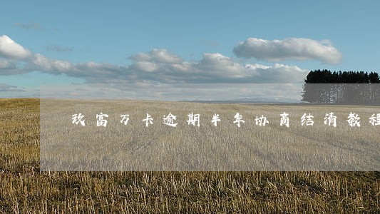 玖富万卡逾期半年协商结清教程 玖富万卡逾期半年协商结清教程