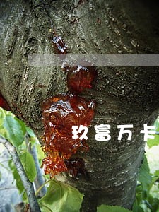 玖富万卡逾期半年还可以借吗 玖富万卡逾期半年还可以借吗