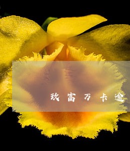 玖富万卡逾期半年还能借款吗 玖富万卡逾期半年还能借款吗