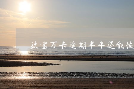 玖富万卡逾期半年还能恢复吗 玖富万卡逾期半年还能恢复吗