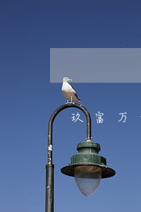 玖富万卡逾期半年还能提现吗 玖富万卡逾期半年还能提现吗