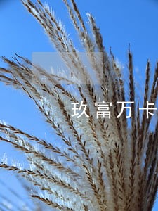 玖富万卡逾期协商 玖富万卡逾期协商