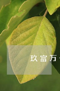玖富万卡逾期协商必须一次结清 玖富万卡逾期协商必须一次结清
