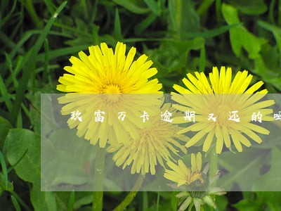 玖富万卡逾期又还的吗 玖富万卡逾期又还的吗
