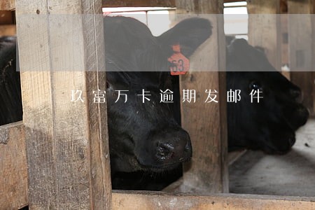 玖富万卡逾期发邮件 玖富万卡逾期发邮件