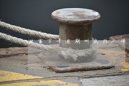 玖富万卡逾期叫我找人保协商