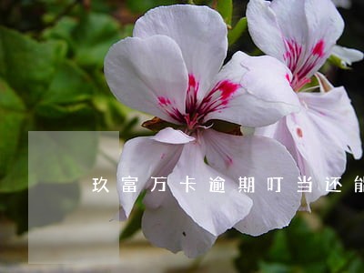 玖富万卡逾期叮当还能借吗 玖富万卡逾期叮当还能借吗